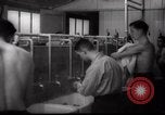 Immagine di Il popolo ebraico Paesi Bassi, 1938, secondo 27 filmato di repertorio 65675073949