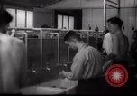 Immagine di Il popolo ebraico Paesi Bassi, 1938, secondo 28 filmato di repertorio 65675073949