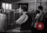 Immagine di Il popolo ebraico Paesi Bassi, 1938, secondo 29 filmato di repertorio 65675073949