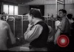 Immagine di Il popolo ebraico Paesi Bassi, 1938, secondo 30 filmato di repertorio 65675073949