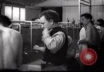Immagine di Il popolo ebraico Paesi Bassi, 1938, secondo 32 filmato di repertorio 65675073949