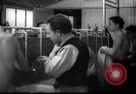 Immagine di Il popolo ebraico Paesi Bassi, 1938, secondo 34 filmato di repertorio 65675073949