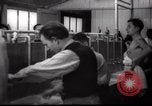 Immagine di Il popolo ebraico Paesi Bassi, 1938, secondo 35 filmato di repertorio 65675073949