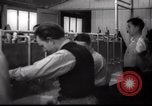 Immagine di Il popolo ebraico Paesi Bassi, 1938, secondo 36 filmato di repertorio 65675073949