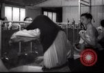 Immagine di Il popolo ebraico Paesi Bassi, 1938, secondo 38 filmato di repertorio 65675073949