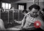 Immagine di Il popolo ebraico Paesi Bassi, 1938, secondo 40 filmato di repertorio 65675073949