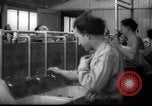 Immagine di Il popolo ebraico Paesi Bassi, 1938, secondo 41 filmato di repertorio 65675073949