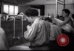 Immagine di Il popolo ebraico Paesi Bassi, 1938, secondo 42 filmato di repertorio 65675073949