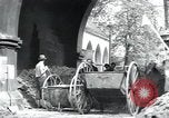 Immagine di Civili tedesco Regensburg Germania, 1945, secondo 28 filmato di repertorio 65675073951