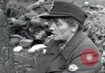Immagine di Civili tedesco Regensburg Germania, 1945, secondo 58 filmato di repertorio 65675073951