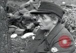 Immagine di Civili tedesco Regensburg Germania, 1945, secondo 60 filmato di repertorio 65675073951