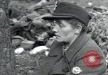 Immagine di Civili tedesco Regensburg Germania, 1945, secondo 62 filmato di repertorio 65675073951