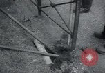 Standbild Richmond Park London England Vereinigtes Königreich, 1940, aus Sekunde 29 historischem Filmmaterial Videoclip 65675073958