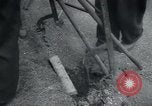 Standbild Richmond Park London England Vereinigtes Königreich, 1940, aus Sekunde 38 historischem Filmmaterial Videoclip 65675073958