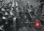 Image of farmers London England United Kingdom, 1940, second 61 stock footage video 65675073960