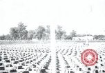 Immagine di Cimitero Terezin Cecoslovacchia, 1946, secondo 1 filmato di repertorio 65675073966