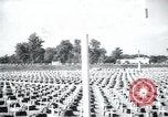 Immagine di Cimitero Terezin Cecoslovacchia, 1946, secondo 10 filmato di repertorio 65675073966