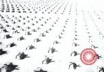 Immagine di Cimitero Terezin Cecoslovacchia, 1946, secondo 17 filmato di repertorio 65675073966