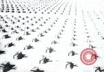 Immagine di Cimitero Terezin Cecoslovacchia, 1946, secondo 19 filmato di repertorio 65675073966