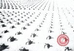 Immagine di Cimitero Terezin Cecoslovacchia, 1946, secondo 21 filmato di repertorio 65675073966