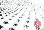 Immagine di Cimitero Terezin Cecoslovacchia, 1946, secondo 23 filmato di repertorio 65675073966