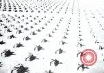 Immagine di Cimitero Terezin Cecoslovacchia, 1946, secondo 25 filmato di repertorio 65675073966