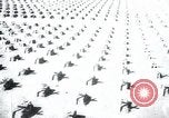 Immagine di Cimitero Terezin Cecoslovacchia, 1946, secondo 26 filmato di repertorio 65675073966
