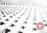 Immagine di Cimitero Terezin Cecoslovacchia, 1946, secondo 27 filmato di repertorio 65675073966