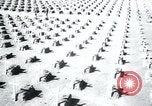 Immagine di Cimitero Terezin Cecoslovacchia, 1946, secondo 29 filmato di repertorio 65675073966