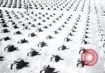 Immagine di Cimitero Terezin Cecoslovacchia, 1946, secondo 31 filmato di repertorio 65675073966