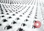 Immagine di Cimitero Terezin Cecoslovacchia, 1946, secondo 32 filmato di repertorio 65675073966