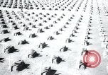 Immagine di Cimitero Terezin Cecoslovacchia, 1946, secondo 33 filmato di repertorio 65675073966