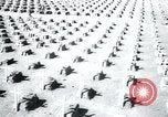 Immagine di Cimitero Terezin Cecoslovacchia, 1946, secondo 34 filmato di repertorio 65675073966