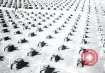 Immagine di Cimitero Terezin Cecoslovacchia, 1946, secondo 35 filmato di repertorio 65675073966