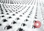 Immagine di Cimitero Terezin Cecoslovacchia, 1946, secondo 38 filmato di repertorio 65675073966