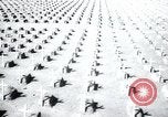 Immagine di Cimitero Terezin Cecoslovacchia, 1946, secondo 39 filmato di repertorio 65675073966