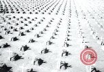 Immagine di Cimitero Terezin Cecoslovacchia, 1946, secondo 41 filmato di repertorio 65675073966