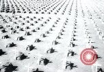 Immagine di Cimitero Terezin Cecoslovacchia, 1946, secondo 42 filmato di repertorio 65675073966