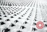 Immagine di Cimitero Terezin Cecoslovacchia, 1946, secondo 43 filmato di repertorio 65675073966