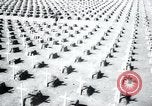 Immagine di Cimitero Terezin Cecoslovacchia, 1946, secondo 45 filmato di repertorio 65675073966