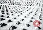 Immagine di Cimitero Terezin Cecoslovacchia, 1946, secondo 46 filmato di repertorio 65675073966