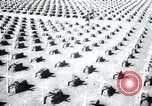 Immagine di Cimitero Terezin Cecoslovacchia, 1946, secondo 48 filmato di repertorio 65675073966