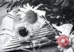 Immagine di Chiesa slovacca Bratislava Cecoslovacchia, 1946, secondo 58 filmato di repertorio 65675073968