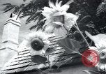 Immagine di Chiesa slovacca Bratislava Cecoslovacchia, 1946, secondo 61 filmato di repertorio 65675073968