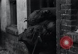 Image US Army round-up des prisonniers allemands Mechernich  Allemagne, 1945, de la seconde 56 séquences d'archives historiques vidéo 65675073998