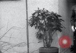 Image of funeral procession of George Patton Luxembourg, 1946, second 33 stock footage video 65675074005
