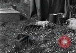 Image of puppies Paris France, 1945, second 4 stock footage video 65675074007