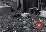 Image of puppies Paris France, 1945, second 7 stock footage video 65675074007
