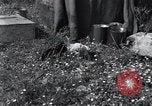 Image of puppies Paris France, 1945, second 10 stock footage video 65675074007