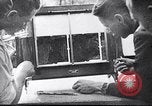 Image of Adolf Hitler Poland, 1939, second 24 stock footage video 65675074040